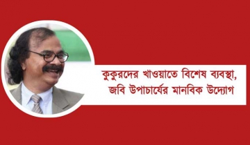 কুকুরদের খাওয়াতে জবি উপাচার্যের মানবিক উদ্যোগ
