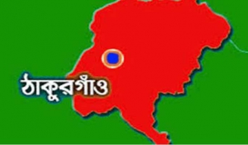 মুক্ত হওয়ার প‌রেও ১২‌টি শকুন যা‌চ্ছে না ঘর ছে‌ড়ে